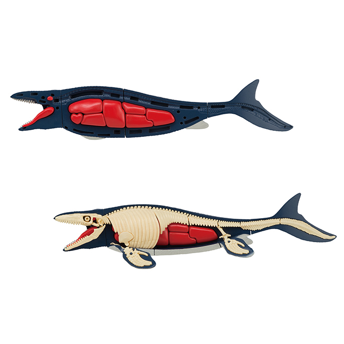 趣味解體拼圖科學系列 - 滄龍復原 - Kaitai Puzzle Science - Mosasaurus Restore