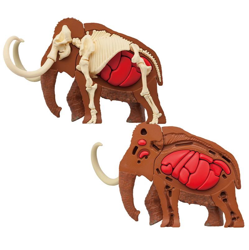 趣味解體拼圖科學系列 - 猛瑪象復原 - Kaitai Puzzle Science - Mammuthus Restore