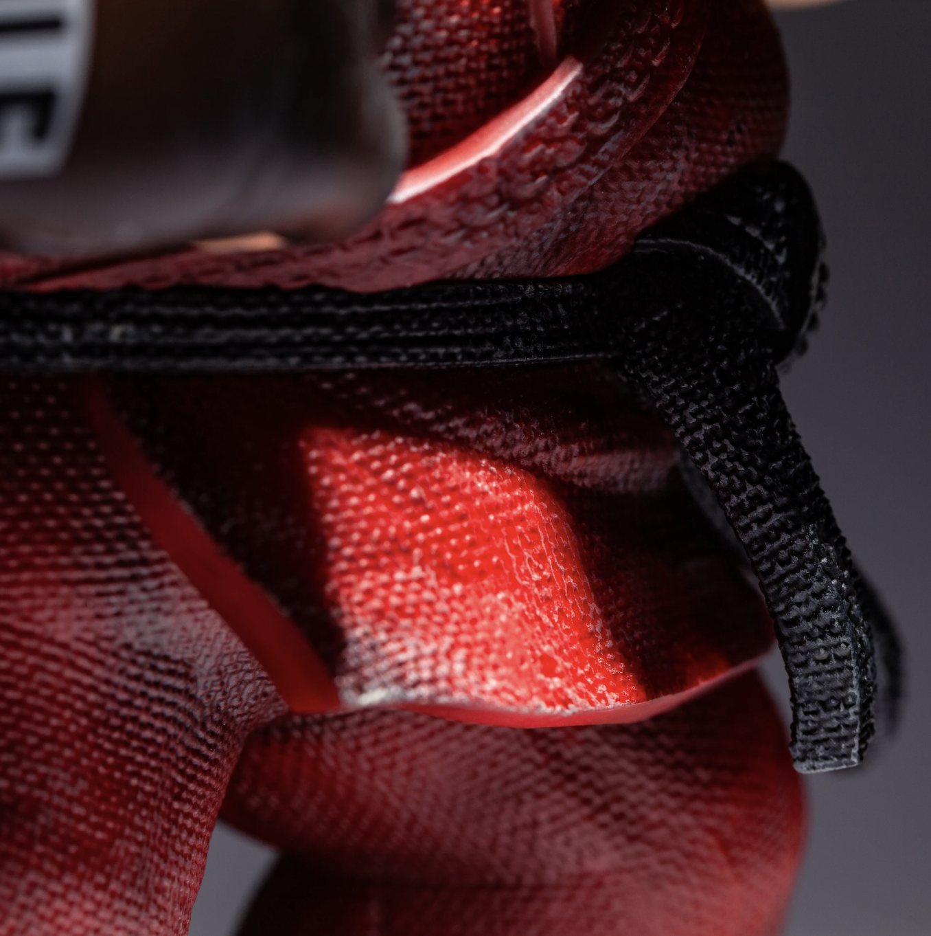 愚者樂園 昇龍肯 - Fools Paradise - LEON // SHORYUKEN 